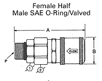 FD49 SERIES PIC 6